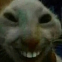 :oqif: