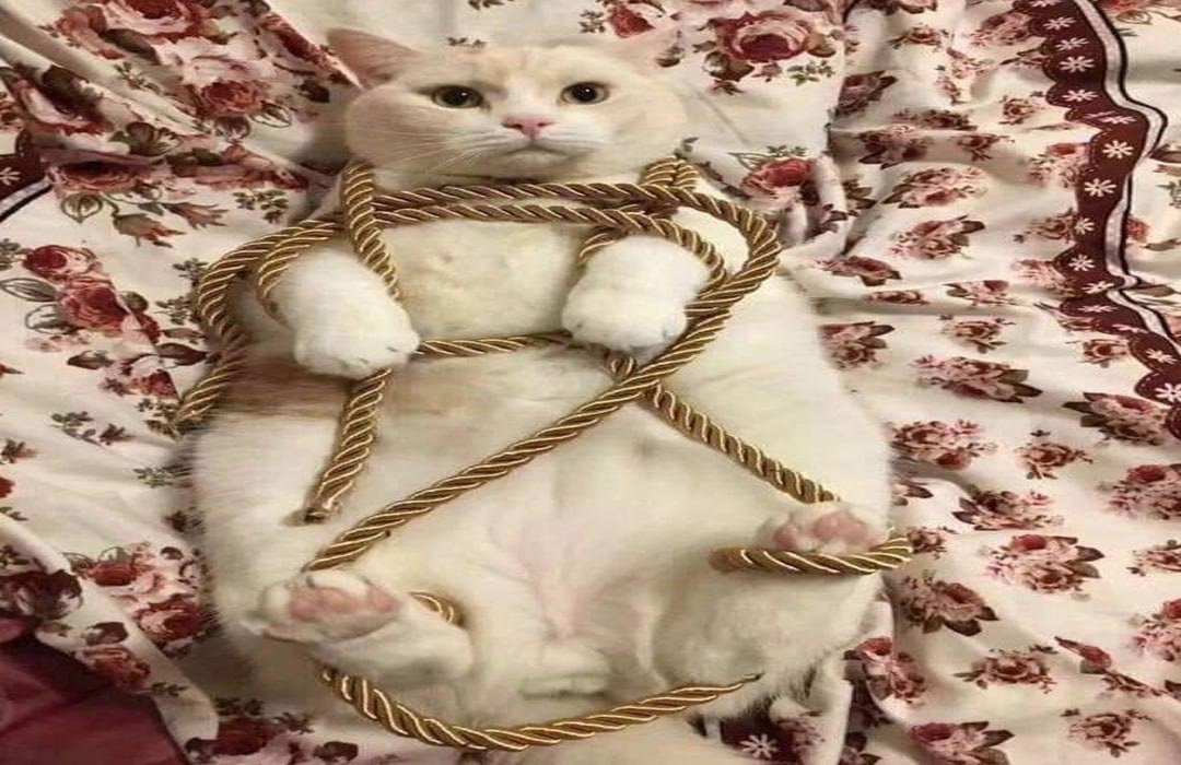 Мой реферальный код
