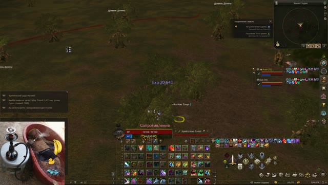 highskill autohunt gameplay