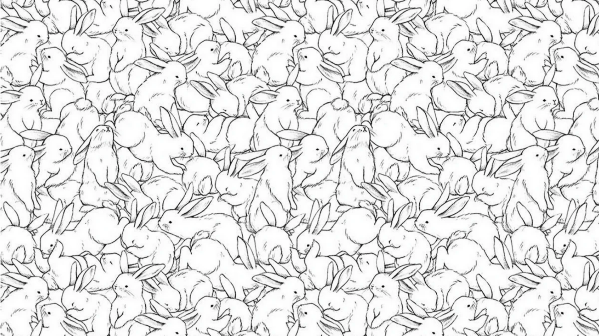 bunnypie Channel at 2026-06-04 13:05 (UTC)
